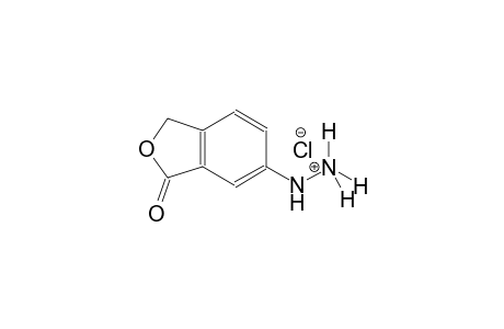 hydrazinium, 2-(1,3-dihydro-3-oxo-5-isobenzofuranyl)-, chloride