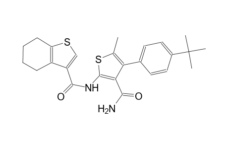 N-[3-(aminocarbonyl)-4-(4-tert-butylphenyl)-5-methyl-2-thienyl]-4,5,6,7-tetrahydro-1-benzothiophene-3-carboxamide