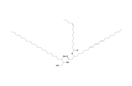 Cer 22:0;2O/21:3;(3OH)(FA 13:1)