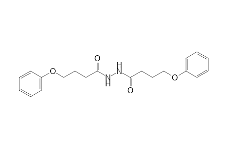 1,2-bis(4-phenoxybutyryl)hydrazine