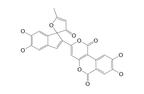 PHELLIGRIDIN_E;8,9-DIHYDROXY-3-{5',6'-DIHYDROXY-5''-METHYL-3''-OXO-SPIRO-[FURAN-2''-(3''-H9,1'-INDENE]-2'-YL}-1-H,6-H-PYRANO-[4.3-C]-[2]-BENZOPYRAN