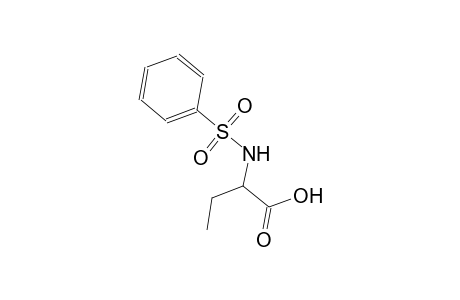 butanoic acid, 2-[(phenylsulfonyl)amino]-