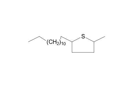 THIOPHENE, TETRAHYDRO-2-METHYL-5-TRIDECYL-