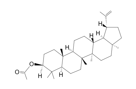 17-Epilupenyl acetate