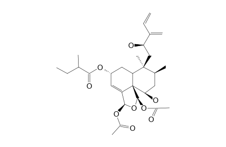 CASEARLUCIN-K;REL-(2R,5R,6R,8S,9S,10R,12S,18S,19R)-18,19-DIACETOXY-18,19-EPOXY-6,12-DIHYDROXY-2-(2-XI-METHYLBUTANOYLOXY)-CLERODA-3,13(16),14-TRIEN