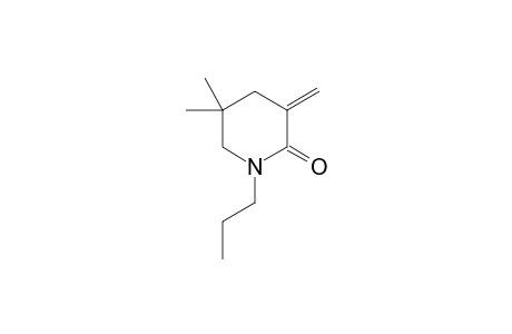 5,5-Dimethyl-3-methylene-1-propylpiperidin-2-one