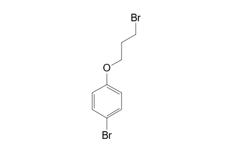 1-bromo-4-(3-bromopropoxy)benzene