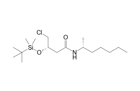 (3S,1'R)-3-(tert-Butyldimethylsilyloxy)-4-chloro-N-(2-heptyl)butanamide