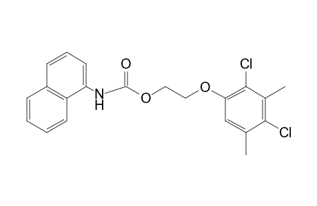 1-NAPHTHALENECARBAMIC ACID, 2-/2,4- DICHLORO-3,5-XYLYLOXY/ETHYL ESTER