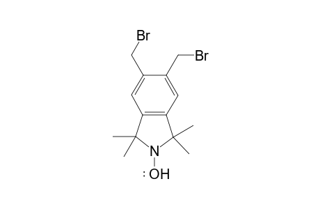 5,6-Bisbromomethyl-1,1,3,3-tetramethylisoindolin-2-yloxyl radical