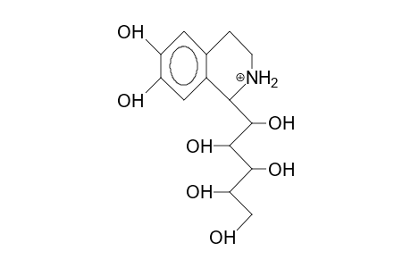 6,7-Dihydroxy-1-(1,2,3,4,5-pentahydroxy-pentyl)-tetrahydro-isoquinolinium cation, major diastereomer