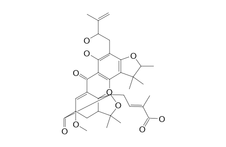 SCORTECHINONE_M