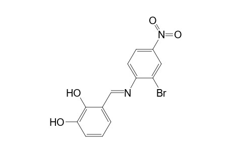 3-[(2-bromo-4-nitro-phenylimino)-methyl]-benzene-1,2-diol