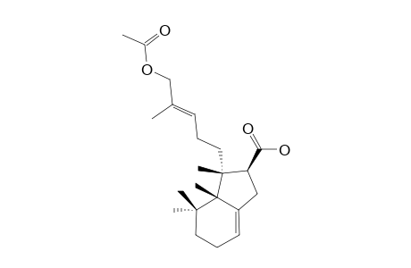 16-Acetoxyanisotomenoic acid