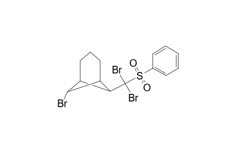 6-(benzenesulfonyl-dibromo-methyl)-7-bromo-bicyclo[3.1.1]heptane