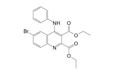 Diethyl 6-bromo-4-(phenylamino)quinoline-2,3-dicarboxylate