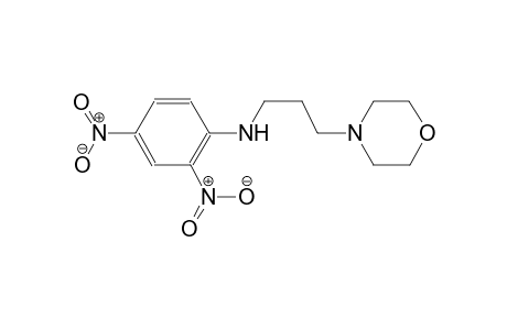 N-[3-(4-morpholinyl)propyl]-2,4-dinitroaniline