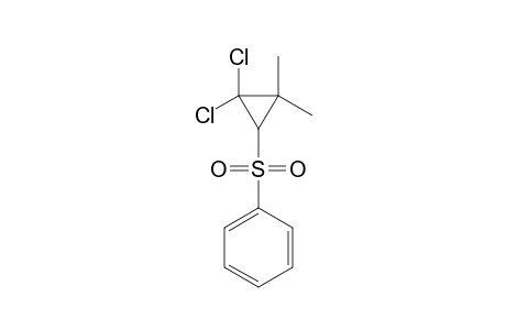 2,2-dichloro-3,3-dimethylcyclopropyl phenyl sulfone