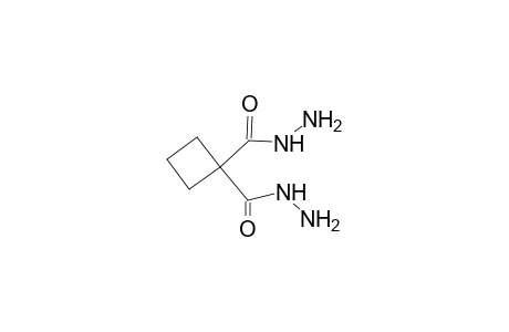 1,1-cyclobutanedicarbohydrazide