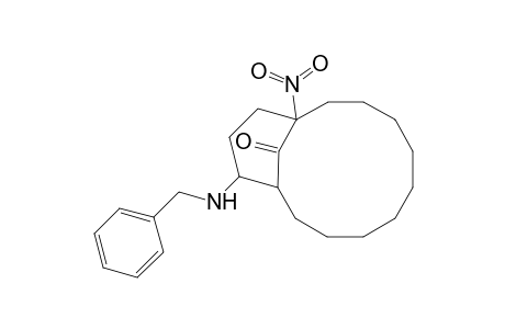 Bicyclo[9.3.1]pentadecan-15-one, 1-nitro-12-[(phenylmethyl)amino]-