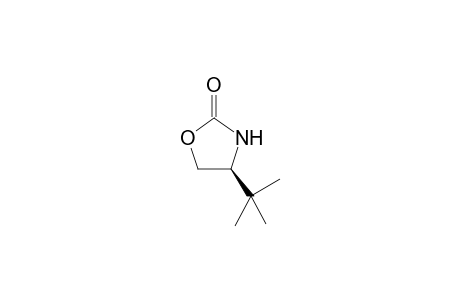 (S)-4-tert-Butyl-2-oxazolidinone