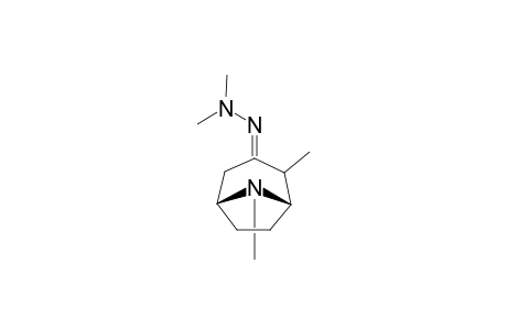 3-(2,2-Dimethylhydrazono)-2,8-dimethyl-8-azabicyclo[3.2.1]octane