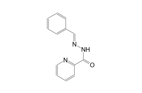 N'-[(E)-phenylmethylidene]-2-pyridinecarbohydrazide