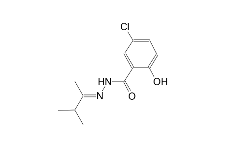 5-chloro-N'-[(E)-1,2-dimethylpropylidene]-2-hydroxybenzohydrazide
