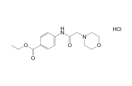 p-(2-morpholinoacetamido)benzoic acid, ethyl ester, hydrochloride