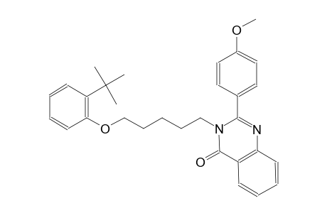3-[5-(2-tert-butylphenoxy)pentyl]-2-(4-methoxyphenyl)-4(3H)-quinazolinone