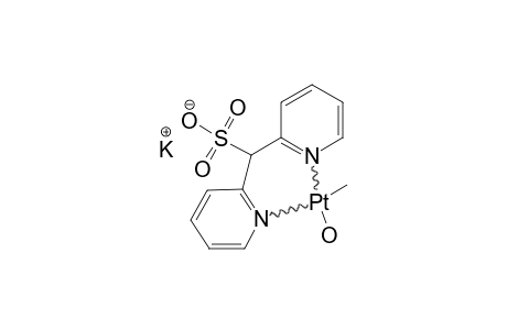 ENDO-K-(DPMS)-PTME-(OH)