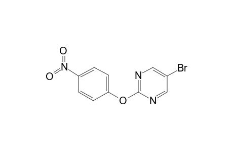 5-Bromo-2-(4-nitrophenoxy)pyrimidine