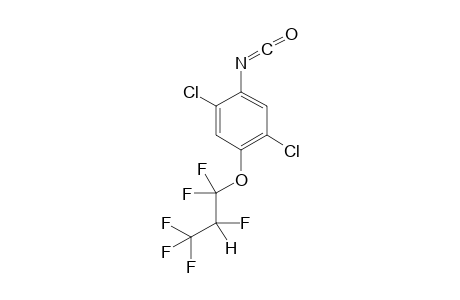 2,5-Dichloro-4-(1,1,2,3,3,3-hexafluoropropoxy)phenylisocyanate