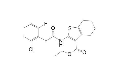 ethyl 2-{[(2-chloro-6-fluorophenyl)acetyl]amino}-4,5,6,7-tetrahydro-1-benzothiophene-3-carboxylate