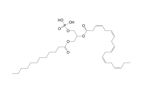 PA 12:0_18:5