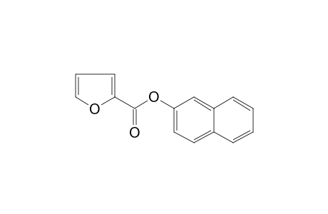 2-Furoic acid, 2-naphthyl ester