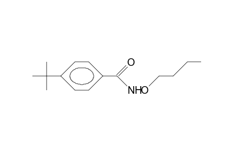 P-tert-Butyl-benzohydroxamic acid, butyl ester