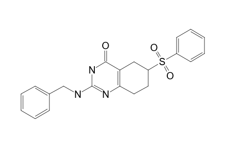 2-BENZYLAMINO-6-(PHENYLSULFONYL)-5,6,7,8-TETRAHYDRO-3H-QUINAZOLIN-4-ONE