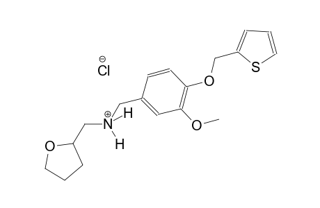 2-furanmethanaminium, tetrahydro-N-[[3-methoxy-4-(2-thienylmethoxy)phenyl]methyl]-, chloride