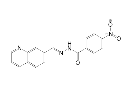 4-nitro-N'-[(E)-7-quinolinylmethylidene]benzohydrazide