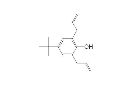 Phenol, 2,6-diallyl-4-tert-butyl-