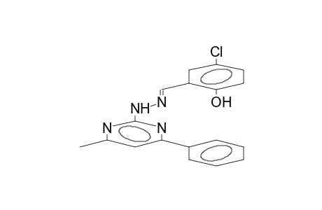 2-(2-hydroxy-5-chlorobenzylidene)hydrazino-4-phenyl-6-methylpyrimidine