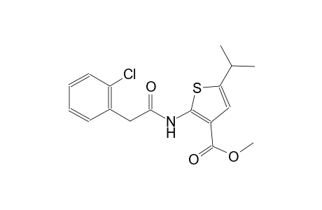 methyl 2-{[(2-chlorophenyl)acetyl]amino}-5-isopropyl-3-thiophenecarboxylate