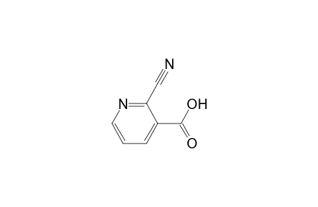 2-Cyanopyridine-3-carboxylic acid