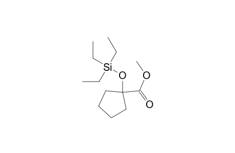 Cyclopentanecarboxylic acid, 1-[(triethylsilyl)oxy]-, methyl ester