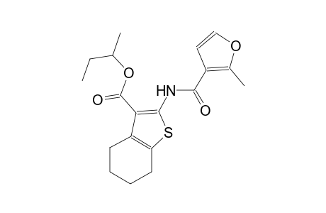 sec-butyl 2-[(2-methyl-3-furoyl)amino]-4,5,6,7-tetrahydro-1-benzothiophene-3-carboxylate