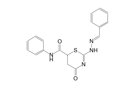 2-[(2E)-2-benzylidenehydrazino]-4-oxo-N-phenyl-5,6-dihydro-4H-1,3-thiazine-6-carboxamide