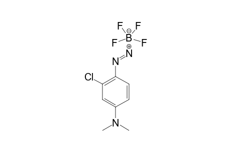 2-CHLOR-4-(N,N-DIMETHYLAMINO)-BENZENDIAZONIUM-TETRAFLUOROBORATE