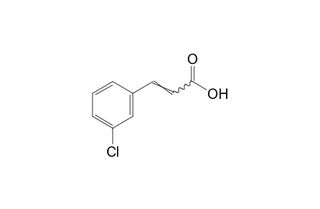 m-chlorocinnamic acid