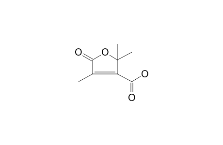 2,2,4-Trimethyl-5-oxo-2,5-dihydro-3-furancarboxylic acid